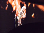 A photo of a video display at the International Slavery Museum