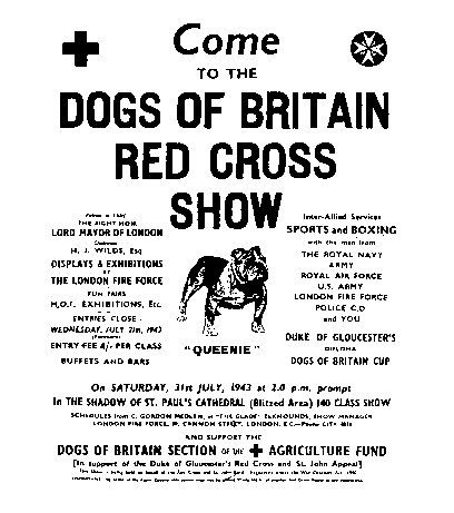 picture of a flyer for a dog show