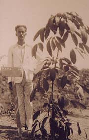 Man standing next to a cocoa bush