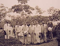 Colonial workers on a rubber plantation