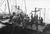 A photograph of sacks being lifted from ship's hold prior to weighing and dispatch