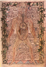Medieval diagram of the Venous System
