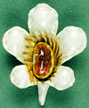 A photograph of the All Souls brooch