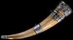 A photo of the Savernake Horn